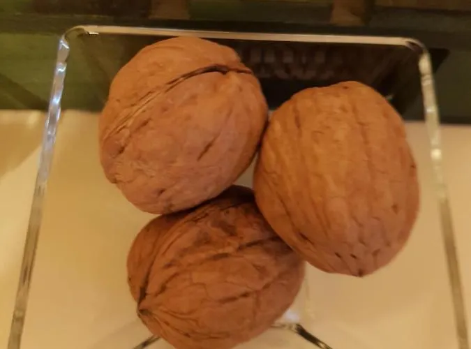 Nicola's House Luxury Loft Tatil Evi *