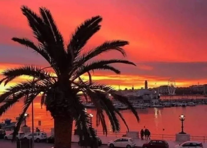 Nicola's House Luxury Loft Tatil Evi *